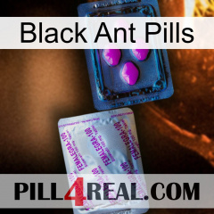 Black Ant Pills 37